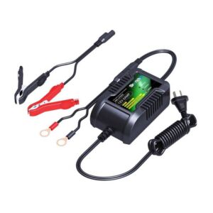 Chargeur batterie Skyrich Lithium-Ion HBC-LF0202 (X20)