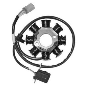 Stator 8 Pôles adaptable KYMCO PEOPLE 125/150 - SGR