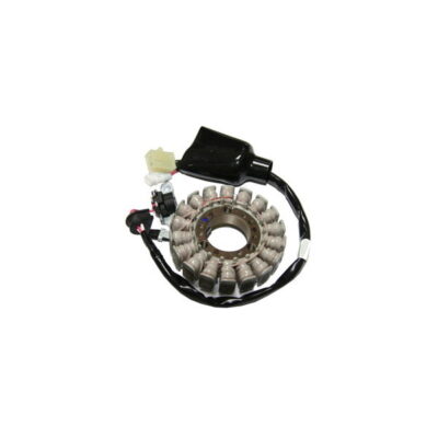 Stator YAMAHA 125 X-MAX/X-CITY - SGR