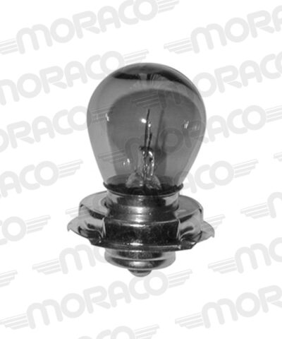 Ampoule Cyclo 12 V - 25 W - P26S - Hert Lamps