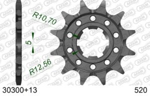Pignon 520 – Kawasaki KDX200 (93-00), Yamaha Raptor/Warrior (87-16) – AFAM #520 SC 30300+13