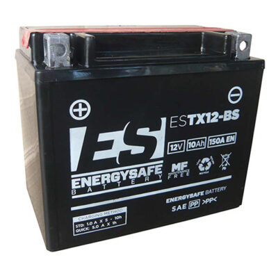 BATTERIE ESTX12-BS 12V/10AH - Energy Safe