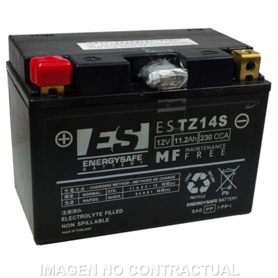 BATTERIE ESTZ14S 12V/11,2AH - Energy Safe