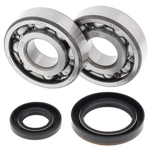 Kit roulements et joints d'embiellage Suzuki RM250 K RJ15A - All Balls Racing 24-1019