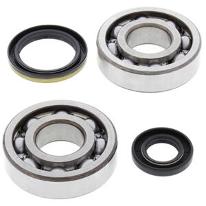 Kit roulements et joints d'embiellage Suzuki RM250 R - All Balls Racing 24-1020