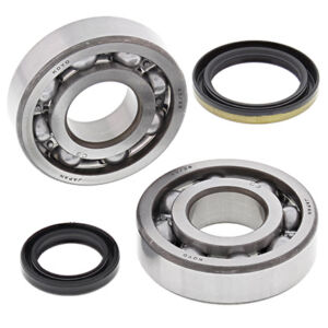 Kit roulements et joints d'embiellage Suzuki RMX250 K1 - All Balls Racing 24-1060