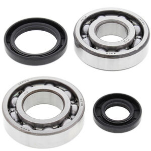 Kit roulements et joints d'embiellage Suzuki RM250 D RJ11A - All Balls Racing 24-1069