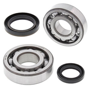Kit roulements et joints d'embiellage Suzuki RMX250 K - All Balls Racing 24-1091