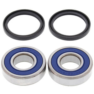 Kit roulements et joints de roue arrière TM Cross 250 /F - All Balls Racing 25-1548