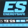 BATTERIE ESTZ12S 12V/11AH - Energy Safe