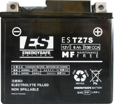 BATTERIE ESTZ7S 12V/6AH - Energy Safe