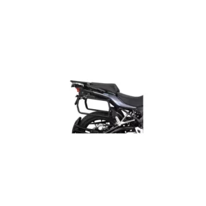Support 4P SYSTEM QJMOTOR SRT 550 '22 - SHAD
